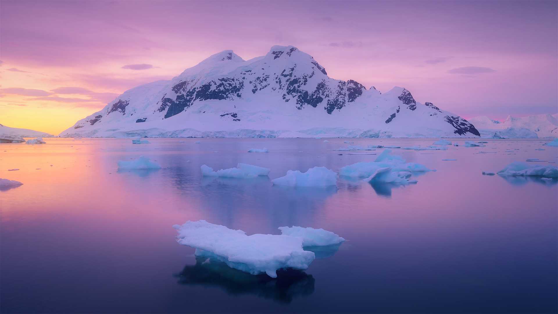 background-b18aCEB4B413-F543-B3E0-DE4B-0488A469516B.jpg