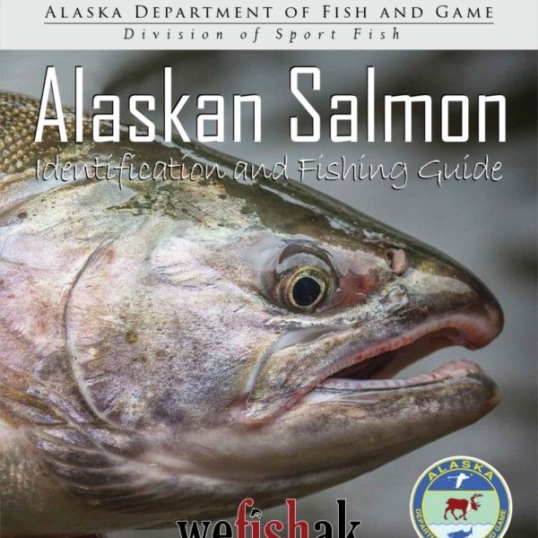  Guide to Salmon Identification and Fishing