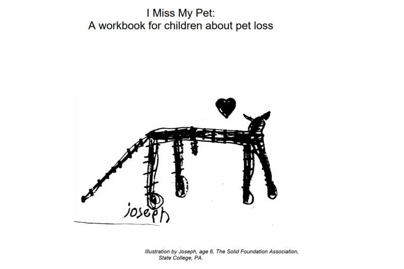  Missing My Pet Activity Book for Children About the Loss of an Animal