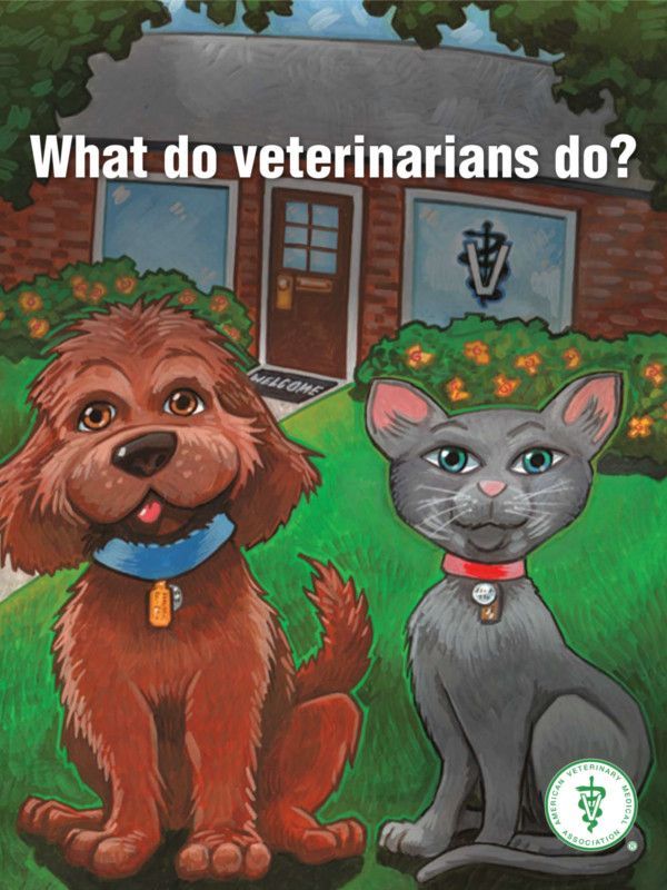  Veterinarian’s Office List for State Animal Health Officials