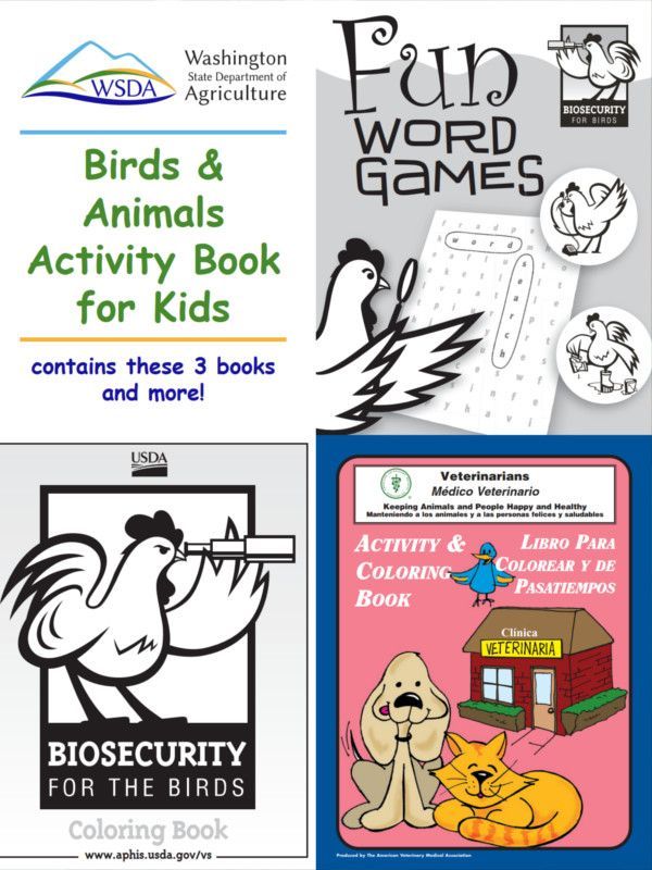 Fun Word Birds and Games Animals Health Activity Book