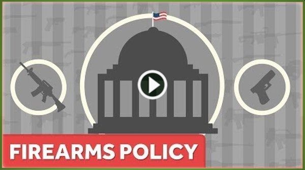 What Kind of Gun Laws Work?