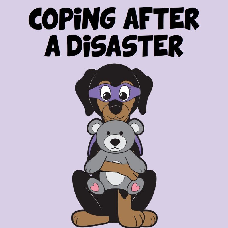 Coping After A Disaster Activity Book