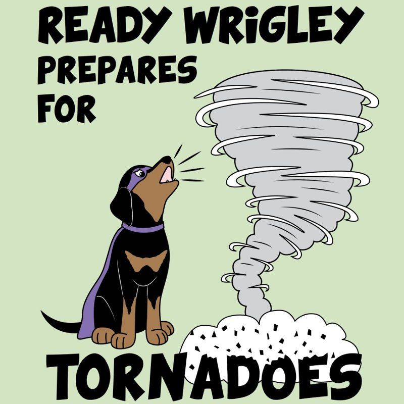 Tornado Preparedness Activity Book