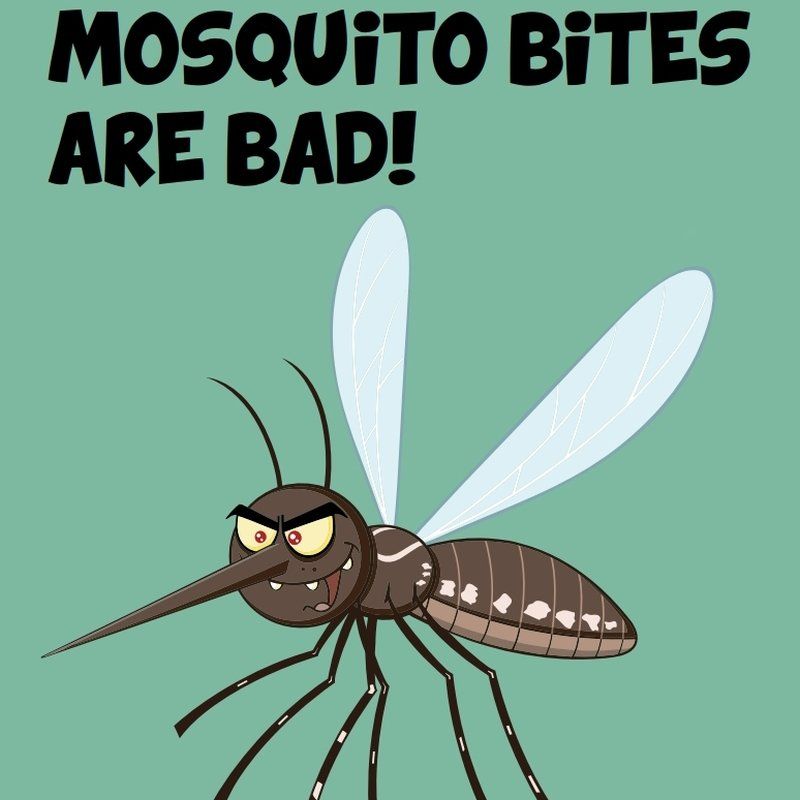 Zika and Mosquito Bites Safety Awareness Activity Book