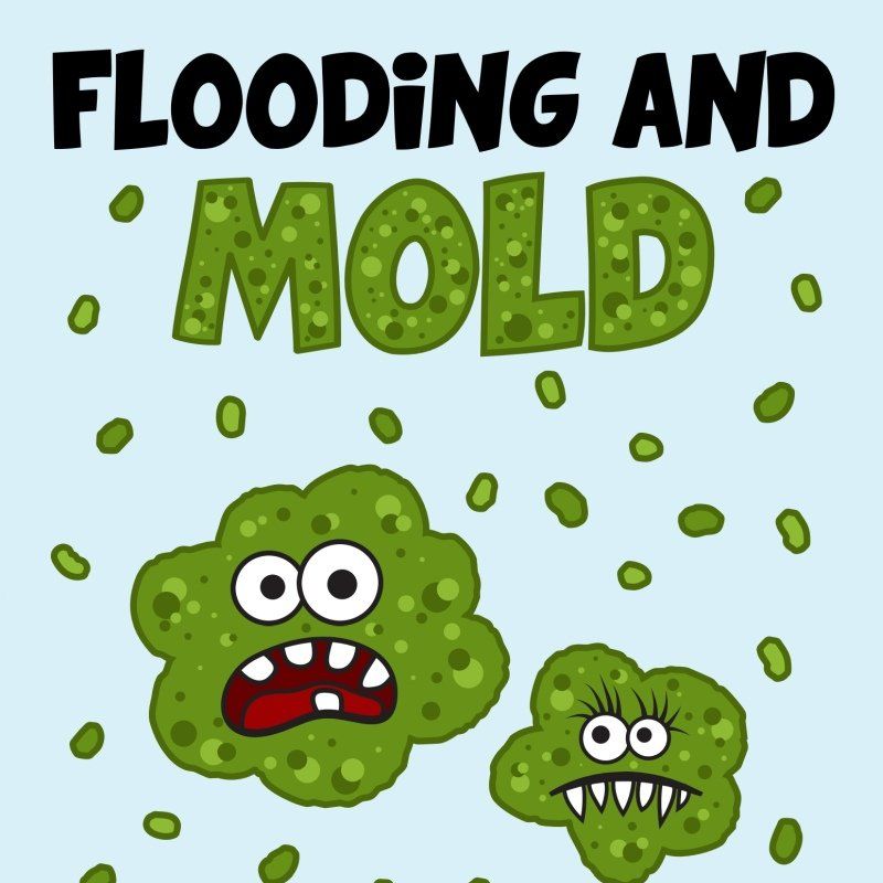 Flooding and Mold Safety Awareness Activity Book
