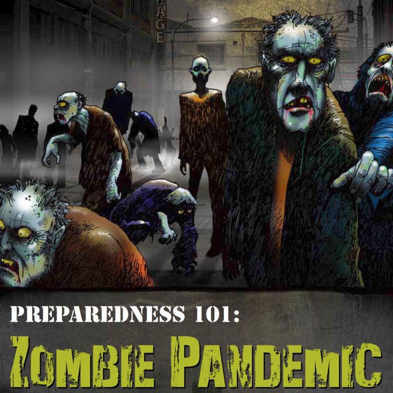 Zombie Preparedness Graphic Story Book