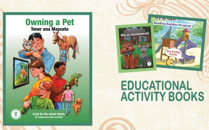 Safe Around Dogs Educational Activity Book