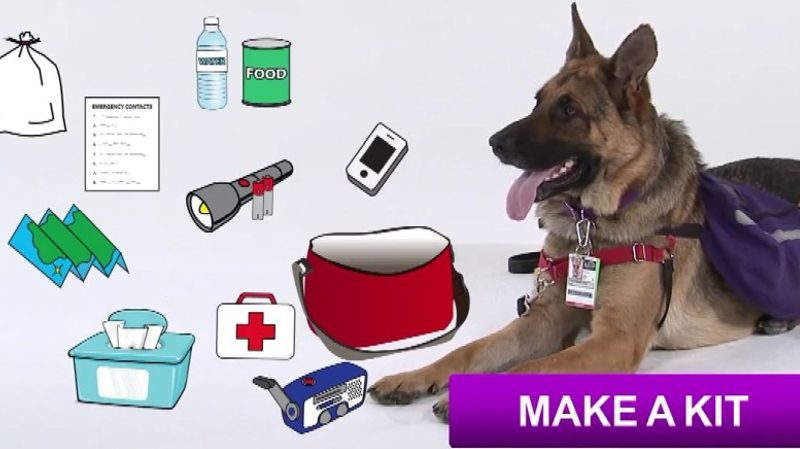 Emergency Preparedness