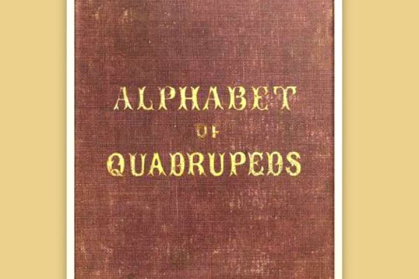 an-alphabet-of-quadrupeds-1F089A20C-F0AE-9BC2-ADAD-6A5267AA67BC.jpg
