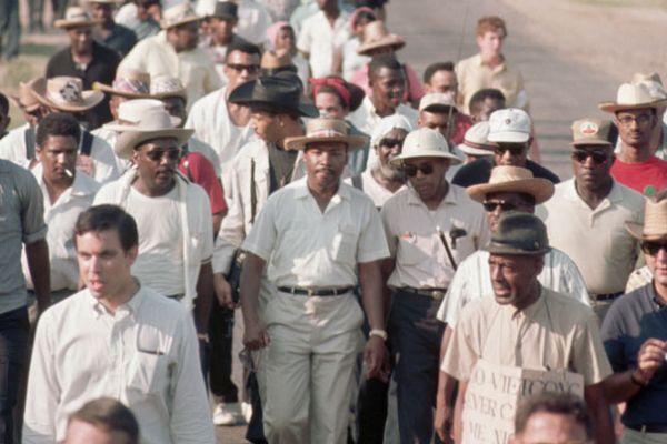 mlk013A22CA52C-83D1-3061-BF19-C610458CAA24.jpg