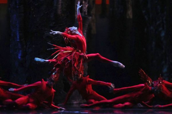 mistycopeland001164CF8306-0337-9C00-BF02-22EF76BF96D2.jpg