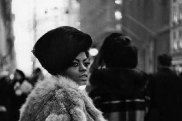 dianaross025631BD222-408C-4E45-CE1B-24DEE34C18D1.jpg